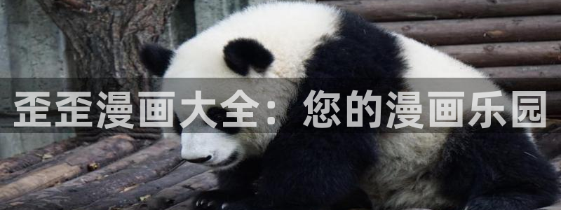 91漫画黄版网站