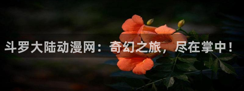 秘密教学91漫画