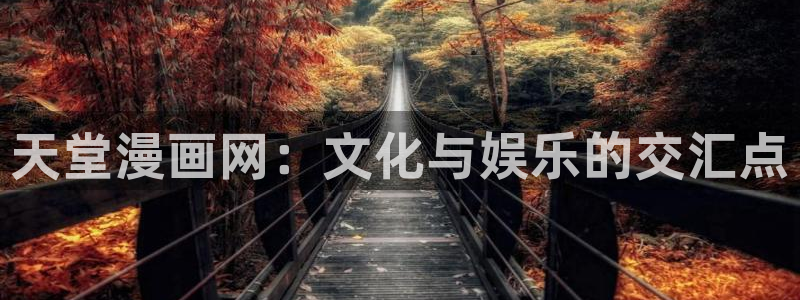 91漫画网在线观看